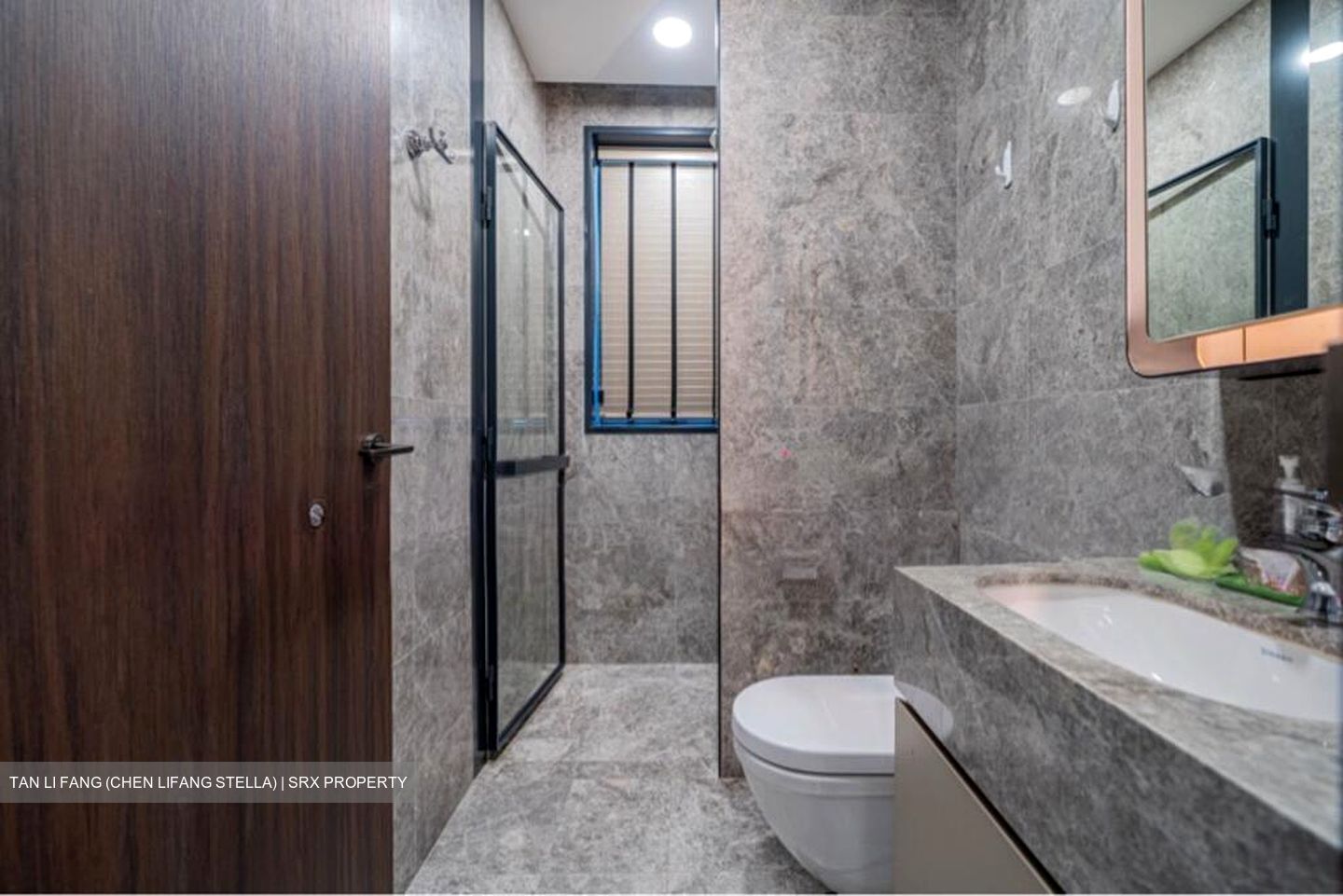 Van Holland (D10), Condominium #521131261